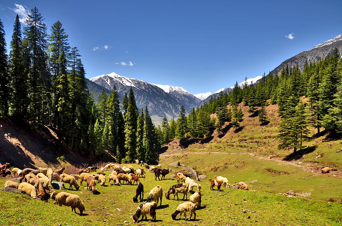 1087px-Atror,_Swat_KPK_(Pakistan)